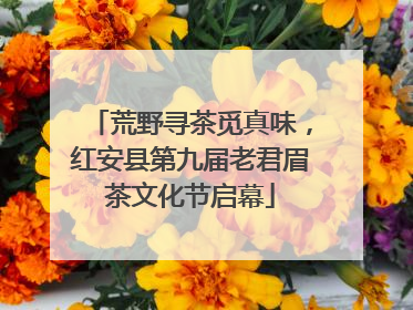 荒野寻茶觅真味，红安县第九届老君眉茶文化节启幕