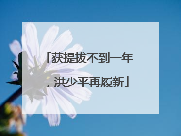 获提拔不到一年，洪少平再履新