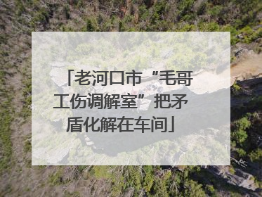 老河口市“毛哥工伤调解室”把矛盾化解在车间