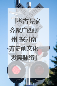 考古专家齐聚广西柳州 探讨南方史前文化发展脉络
