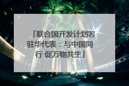 联合国开发计划署驻华代表：与中国同行 促万物共生