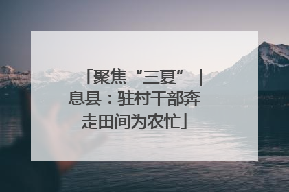 聚焦“三夏”｜息县：驻村干部奔走田间为农忙