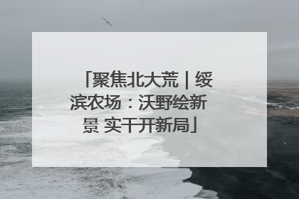 聚焦北大荒｜绥滨农场：沃野绘新景 实干开新局