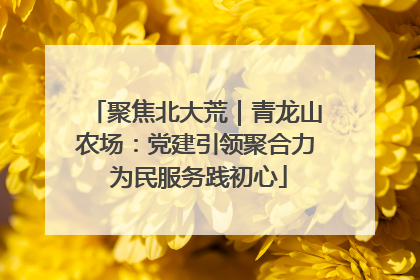 聚焦北大荒｜青龙山农场：党建引领聚合力 为民服务践初心