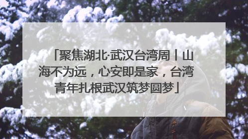 聚焦湖北·武汉台湾周丨山海不为远，心安即是家，台湾青年扎根武汉筑梦圆梦