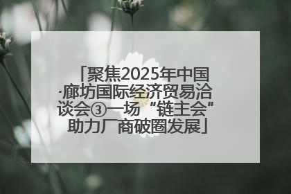 聚焦2025年中国·廊坊国际经济贸易洽谈会③一场“链主会” 助力厂商破圈发展