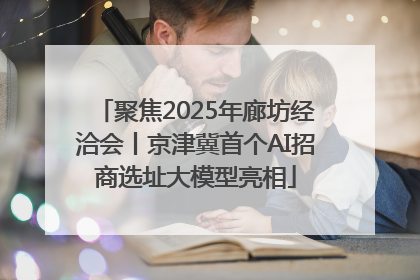 聚焦2025年廊坊经洽会丨京津冀首个AI招商选址大模型亮相