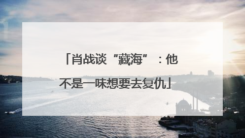 肖战谈“藏海”：他不是一味想要去复仇