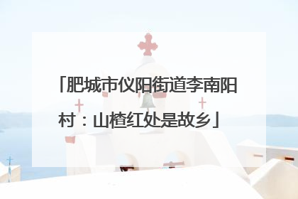 肥城市仪阳街道李南阳村：山楂红处是故乡