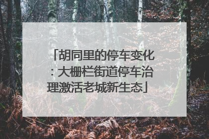 胡同里的停车变化：大栅栏街道停车治理激活老城新生态