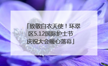 致敬白衣天使！环翠区5.12国际护士节庆祝大会暖心落幕