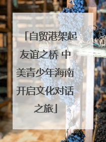 自贸港架起友谊之桥 中美青少年海南开启文化对话之旅