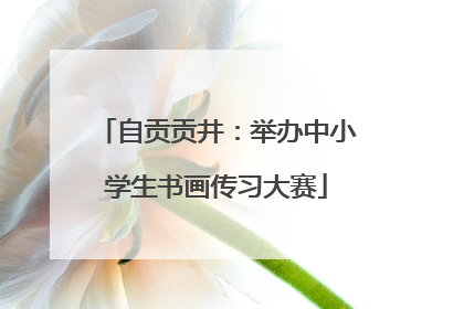 自贡贡井：举办中小学生书画传习大赛