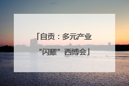 自贡：多元产业“闪耀”西博会