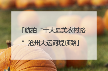 航拍“十大最美农村路”沧州大运河堤顶路
