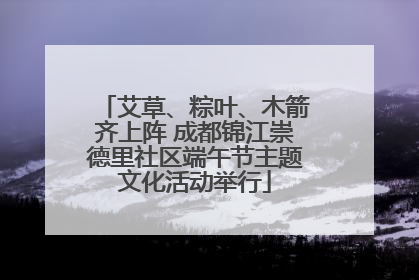 艾草、粽叶、木箭齐上阵 成都锦江崇德里社区端午节主题文化活动举行