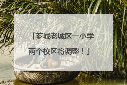 芗城老城区一小学两个校区将调整！