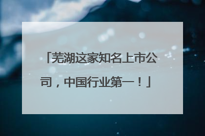 芜湖这家知名上市公司，中国行业第一！