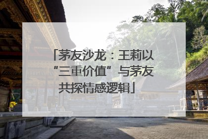 茅友沙龙：王莉以“三重价值”与茅友共探情感逻辑