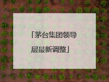 茅台集团领导层最新调整