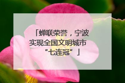 蝉联荣誉，宁波实现全国文明城市“七连冠”