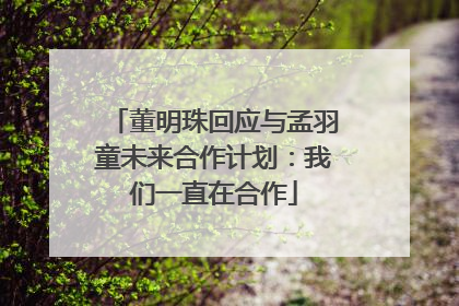 董明珠回应与孟羽童未来合作计划：我们一直在合作
