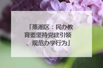 蒸湘区：民办教育要坚持党建引领、规范办学行为