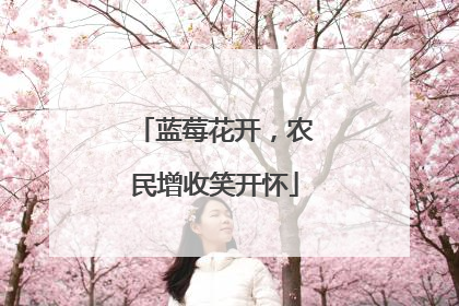蓝莓花开，农民增收笑开怀