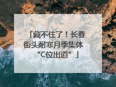藏不住了！长春街头耐寒月季集体“C位出道”