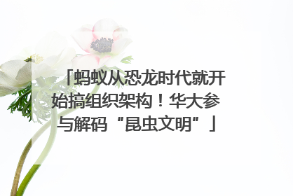 蚂蚁从恐龙时代就开始搞组织架构！华大参与解码“昆虫文明”