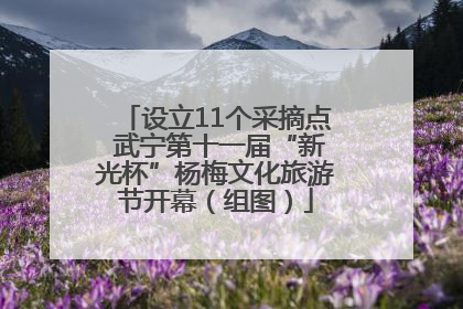 设立11个采摘点 武宁第十一届“新光杯”杨梅文化旅游节开幕（组图）