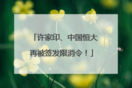 许家印、中国恒大再被签发限消令！