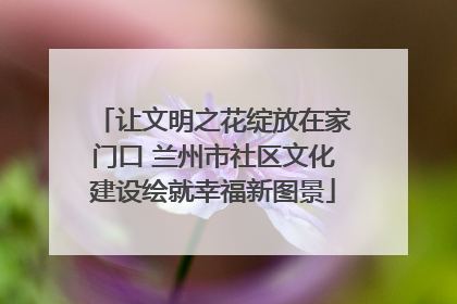 让文明之花绽放在家门口 兰州市社区文化建设绘就幸福新图景