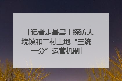 记者走基层丨探访大垸镇和丰村土地“三统一分”运营机制
