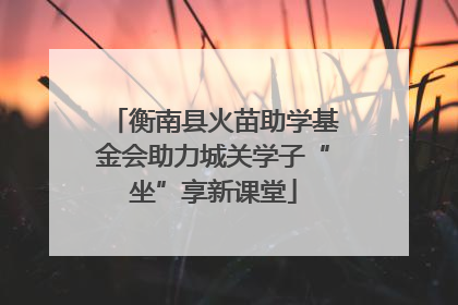 衡南县火苗助学基金会助力城关学子“坐”享新课堂