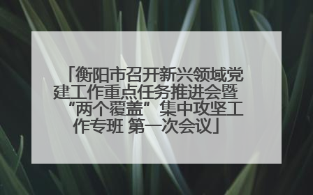 衡阳市召开新兴领域党建工作重点任务推进会暨“两个覆盖”集中攻坚工作专班 第一次会议