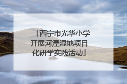 西宁市光华小学开展河湟湿地项目化研学实践活动