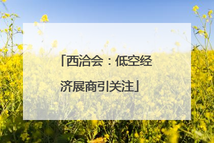 西洽会：低空经济展商引关注