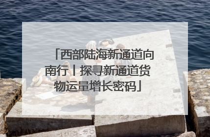 西部陆海新通道向南行丨探寻新通道货物运量增长密码