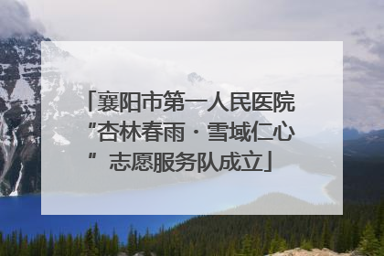 襄阳市第一人民医院“杏林春雨・雪域仁心”志愿服务队成立