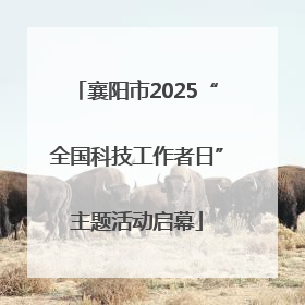 襄阳市2025“全国科技工作者日”主题活动启幕