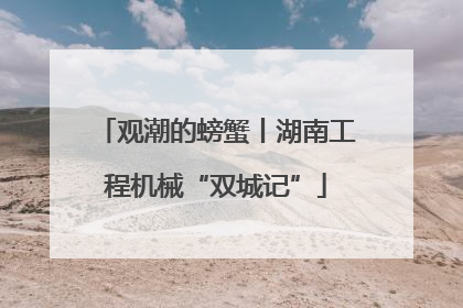 观潮的螃蟹丨湖南工程机械“双城记”