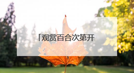 观赏百合次第开 农旅融合新样本 “胜日寻芳·花漾兰州”系列报道之七