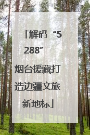 解码“5288” 烟台援藏打造边疆文旅新地标