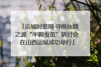 运城时装周·寻根丝绸之源“半颗蚕茧”研讨会在山西运城成功举行