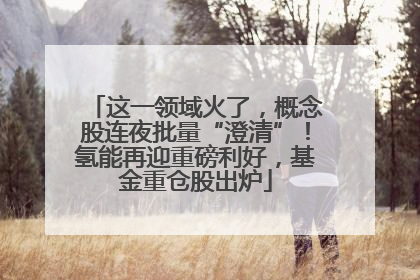这一领域火了，概念股连夜批量“澄清”！氢能再迎重磅利好，基金重仓股出炉