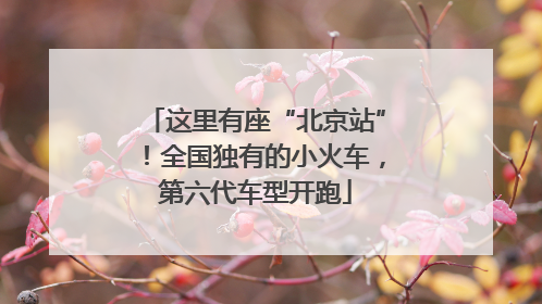 这里有座“北京站”！全国独有的小火车，第六代车型开跑