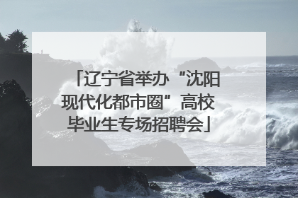 辽宁省举办“沈阳现代化都市圈”高校毕业生专场招聘会