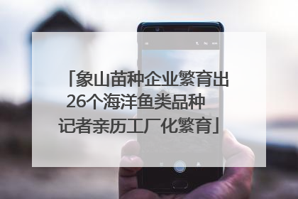 象山苗种企业繁育出26个海洋鱼类品种 记者亲历工厂化繁育