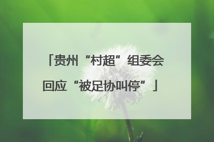贵州“村超”组委会回应“被足协叫停”